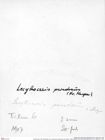 Historisches Foto (Rückseite) von Lecythocaris paradoxa (von Meyer, 1858) (NHMW-AFW-GEO-BACHMAYER-FOTO-1990-0041-1907)